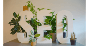 SEO concept with grass illustration for how to find low competition keywords for beginners in Nepal