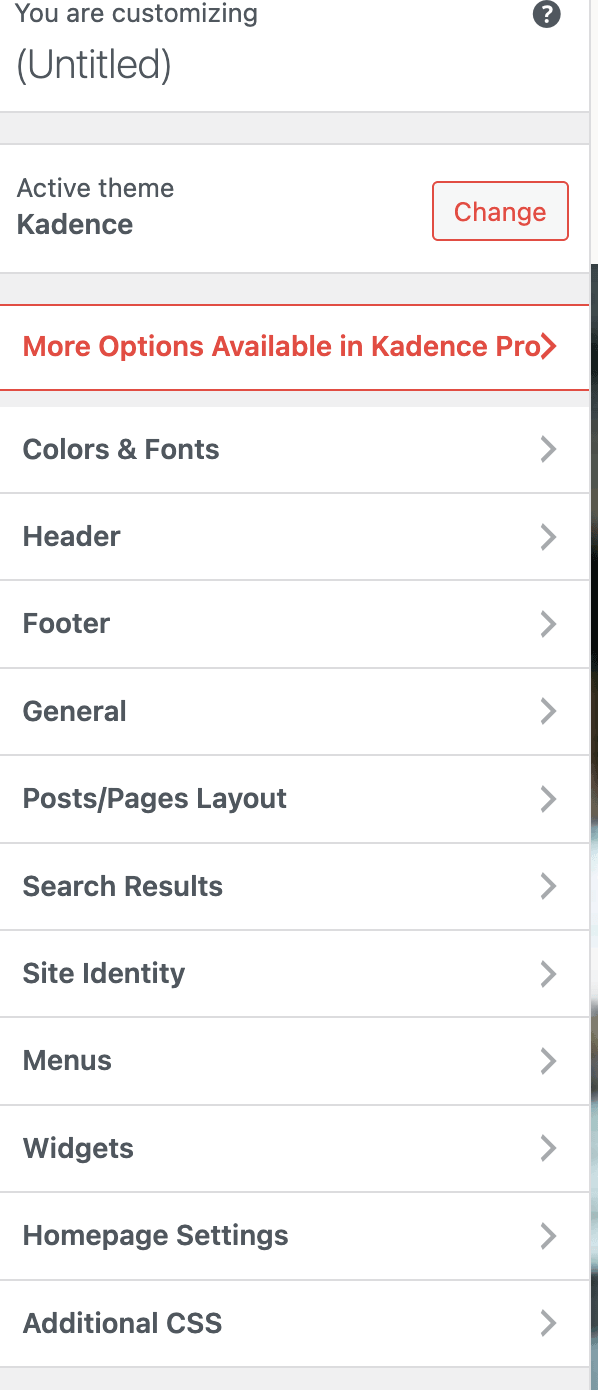 WordPress customize panel for site personalization