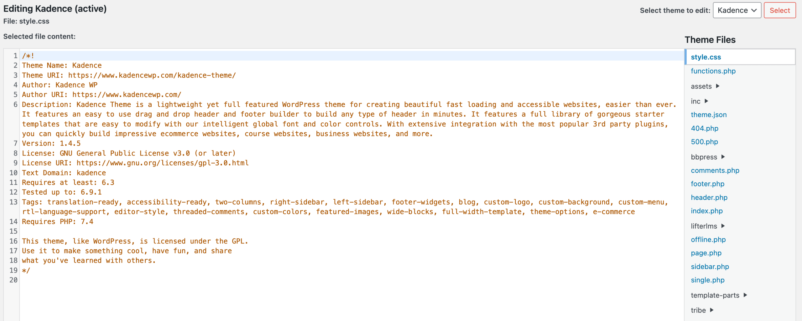 WordPress theme file editor for advanced customization